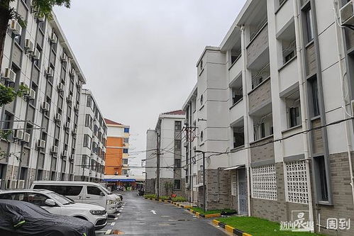 嵌在老小区内的 一张床 项目 闵行河东小区科创港湾公寓迎来首批入住者