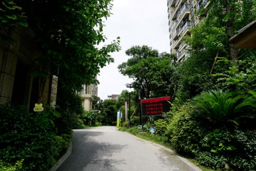 最新 海宁31个小区获 最美小区 优秀小区 风尚小区 有你家吗