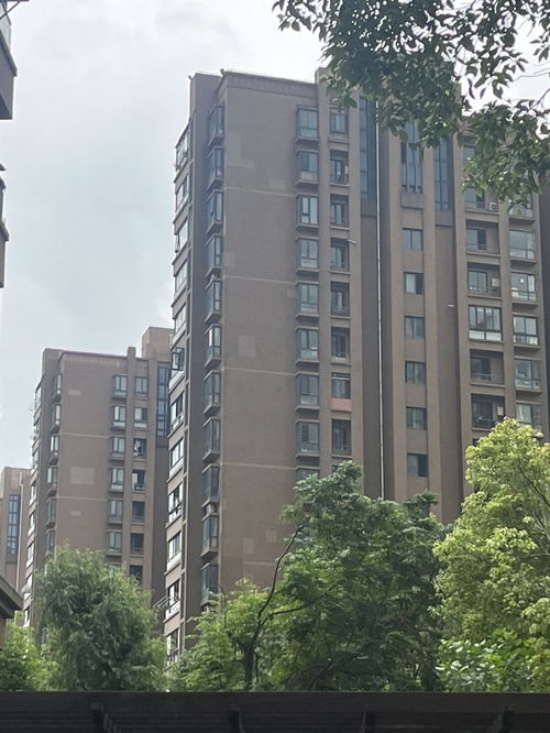 一半住户家中都漏水 嘉定一小区外墙瓷砖脱落多年,多次报修为何迟迟不见动静