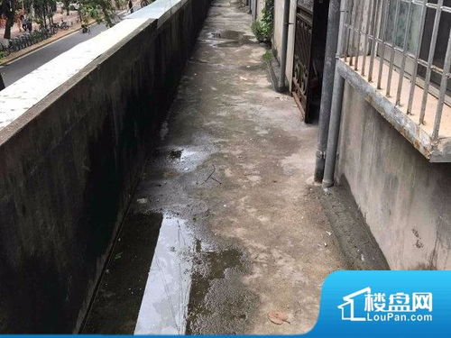 厦门食品厂宿舍小区地址 价格走势 户型相册 厦门楼盘网