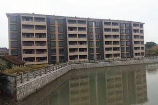 华新镇 危房改造圆安居梦,123套新房抽签有主