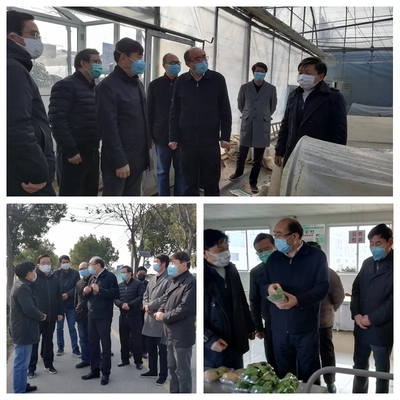市委副书记徐劼检查调研农产品保供和 农村疫情防控工作