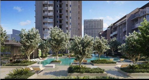 新加坡市区武吉士精品公寓丨the m condo