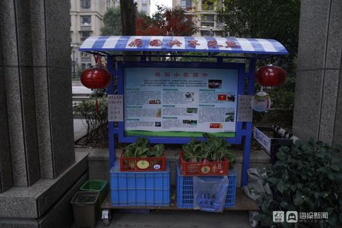 枫桥经验 发源地诸暨的社会治理新变 解码 新时代 枫桥经验 下