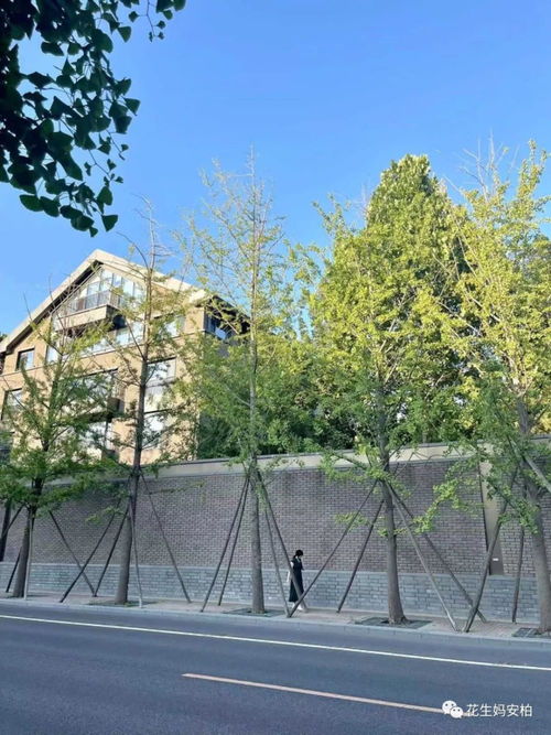 带你看看北京顶豪学区房