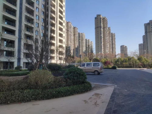 阜阳一小区海量实景图提前曝光 精装入户大堂 大面积草坪