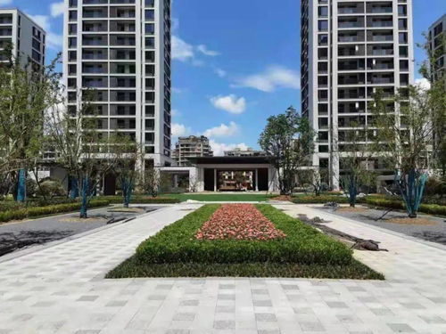1034套 丽水市区又一个住宅小区通过竣工验收啦