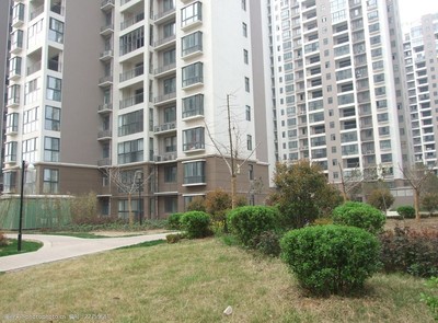 小区绿化