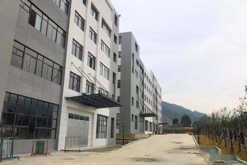 遍地开花 办大事 闽侯建投年度成绩单出炉