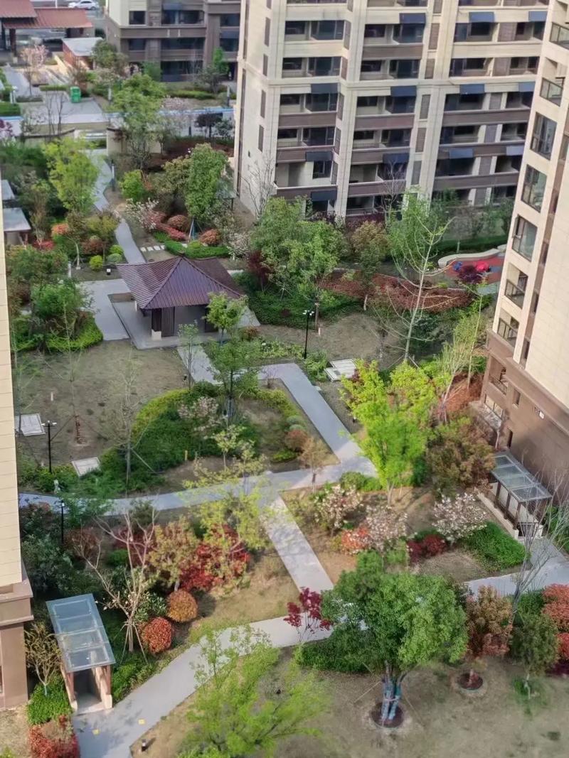 苏州府,三期现房小区实景交付环境,现有复试产品在售,119