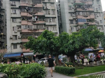桥东小区优点 不足,桥东小区怎么样,桥东小区周边房产中介经纪人评价