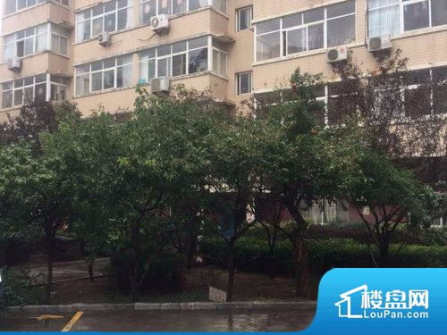 天津滨河小区小区实景图 天津楼盘网