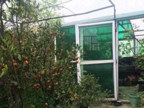 图 急租墨水湖小区精品 交通生活两便利 武汉租房