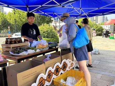 特价农产品、义诊…便民集市来啦!