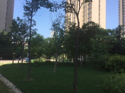新汇华庭 优点与不足、小区评价及周边中介经纪人反馈