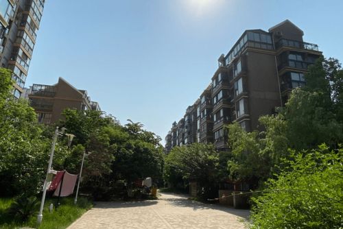 迷惑与反差 次新房价格下跌，老旧小区却成交火爆